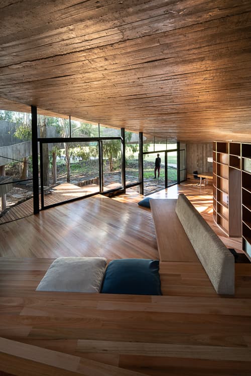 Interior Lote 81