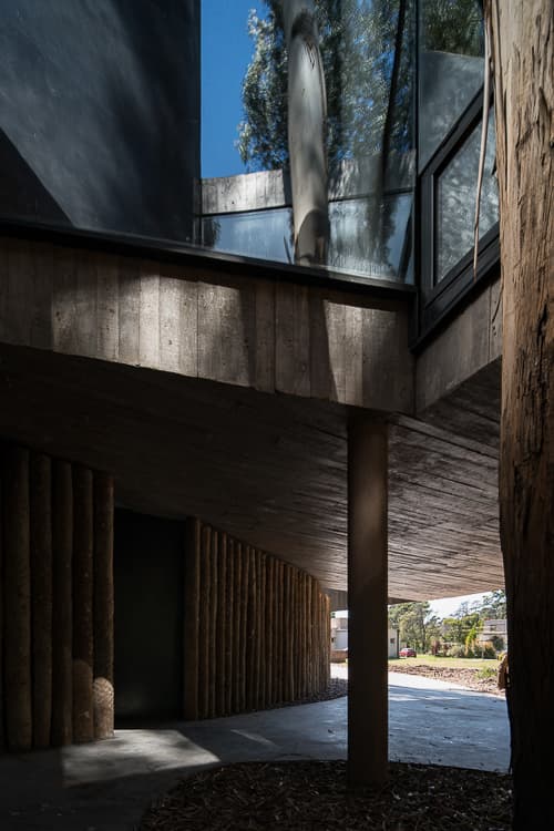 Puerta Lote 81