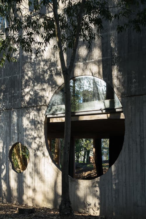 Detalle exterior Lote 81